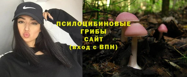 стафф Белоозёрский
