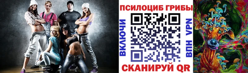 Купить закладки Верхотурье Псилоцибиновые грибы Psilocybe